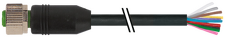 MURR 7000-19041-7021000 Kabel s konektorem M12 F přímý / volný konec 12pin PVC 10m černý
